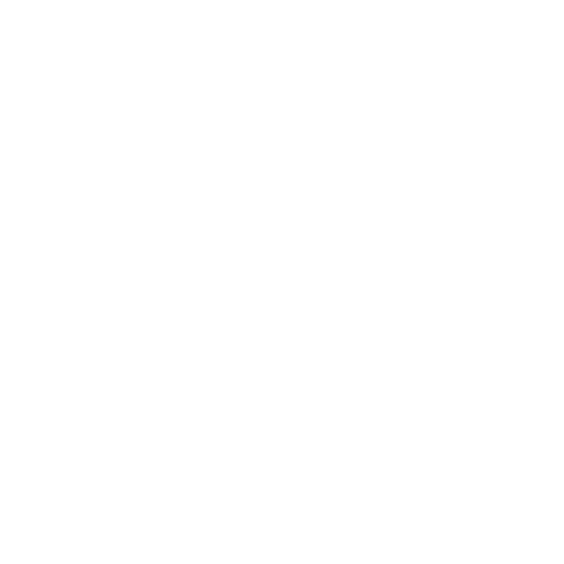 accountant